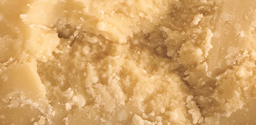 Quali sostanze nutritive contiene il Parmigiano Reggiano?