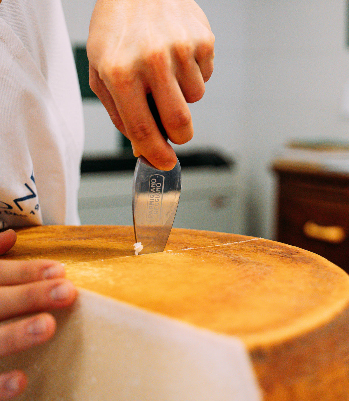 Parmigiano Reggiano: DOP da 400 anni