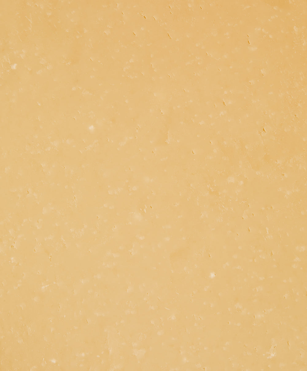 Parmigiano Reggiano stagionato 12 mesi