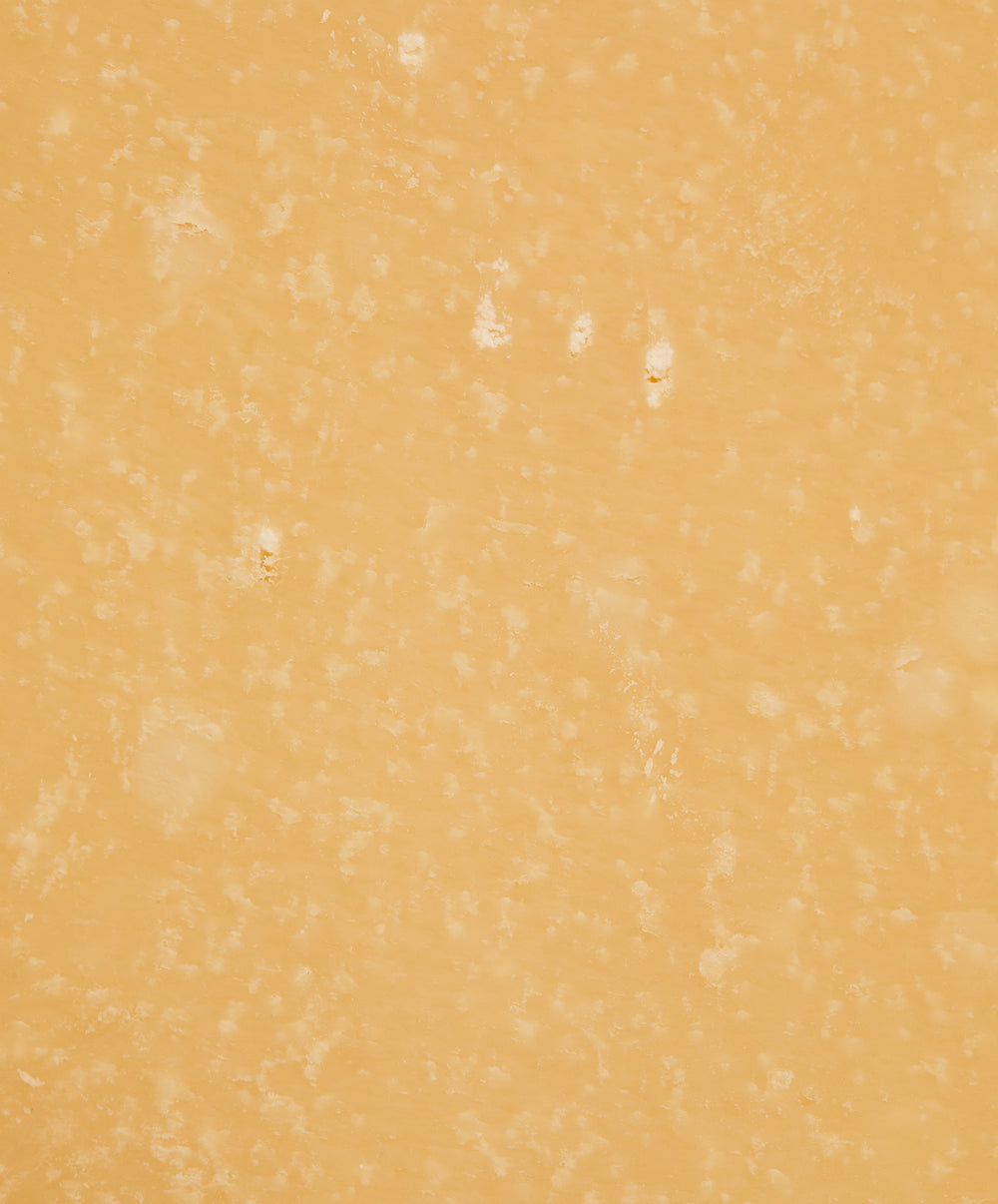 Parmigiano Reggiano stagionato 24 mesi