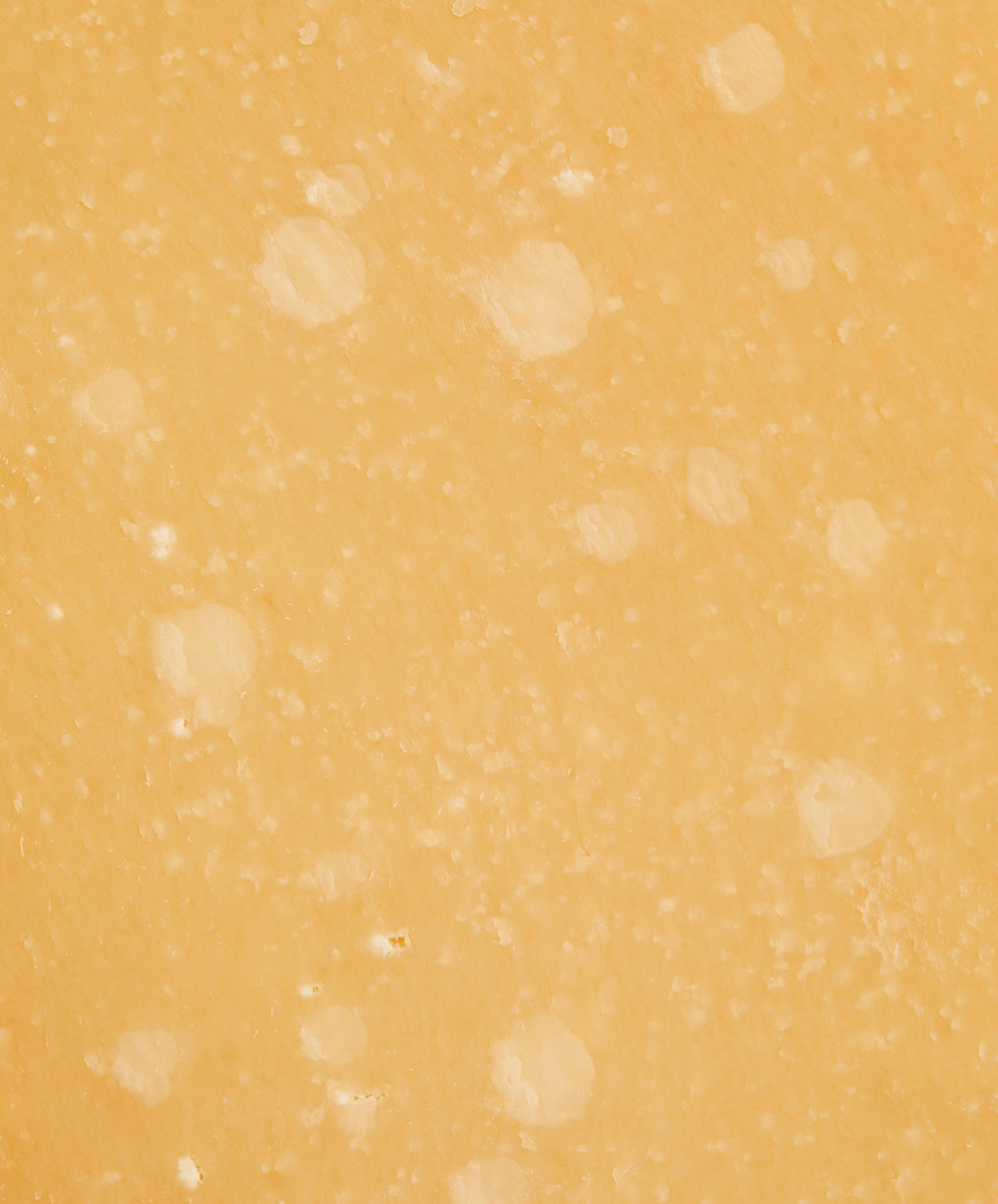 Parmigiano Reggiano stagionato 36 mesi