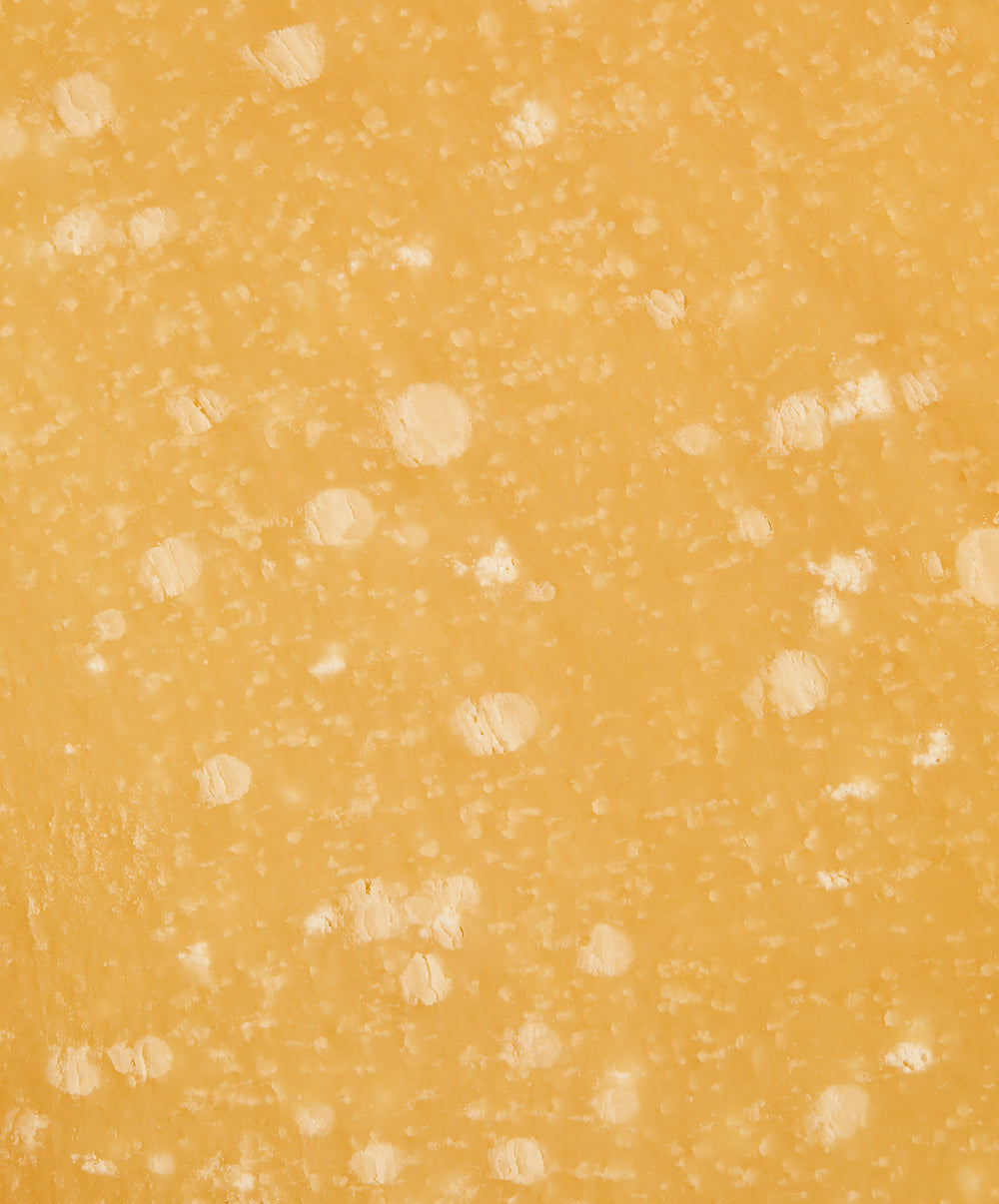 Parmigiano Reggiano stagionato 48 mesi