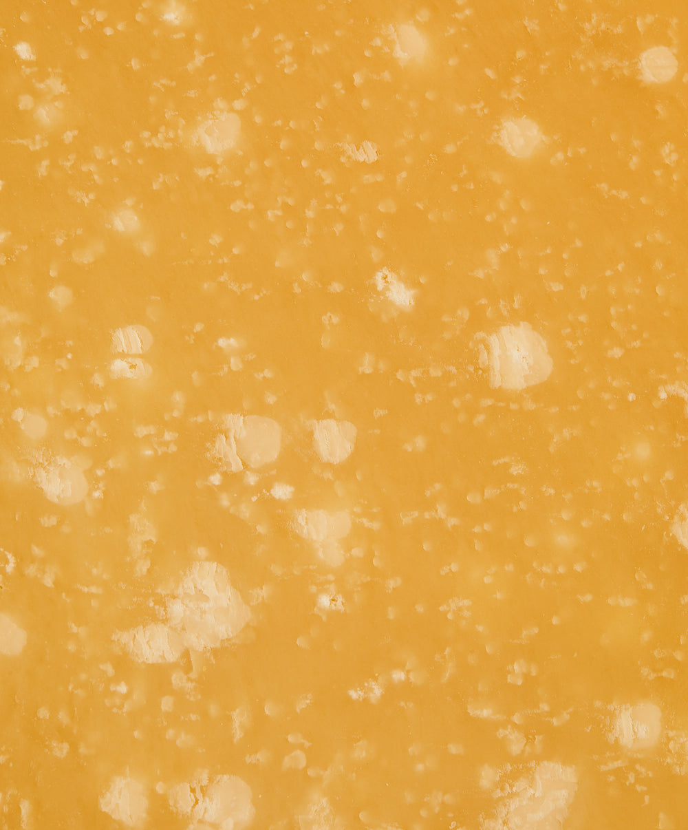 Parmigiano Reggiano stagionato 60 mesi