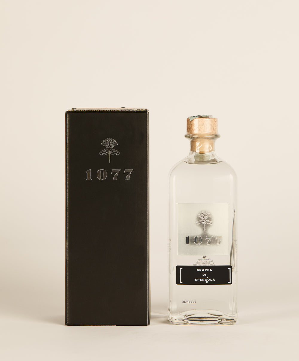 Grappa di Spergola